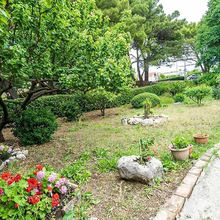 Apartament & Papa