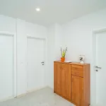 Apartamento & Papa *