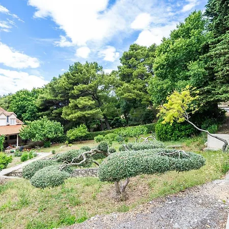 Апартаменты & Papa